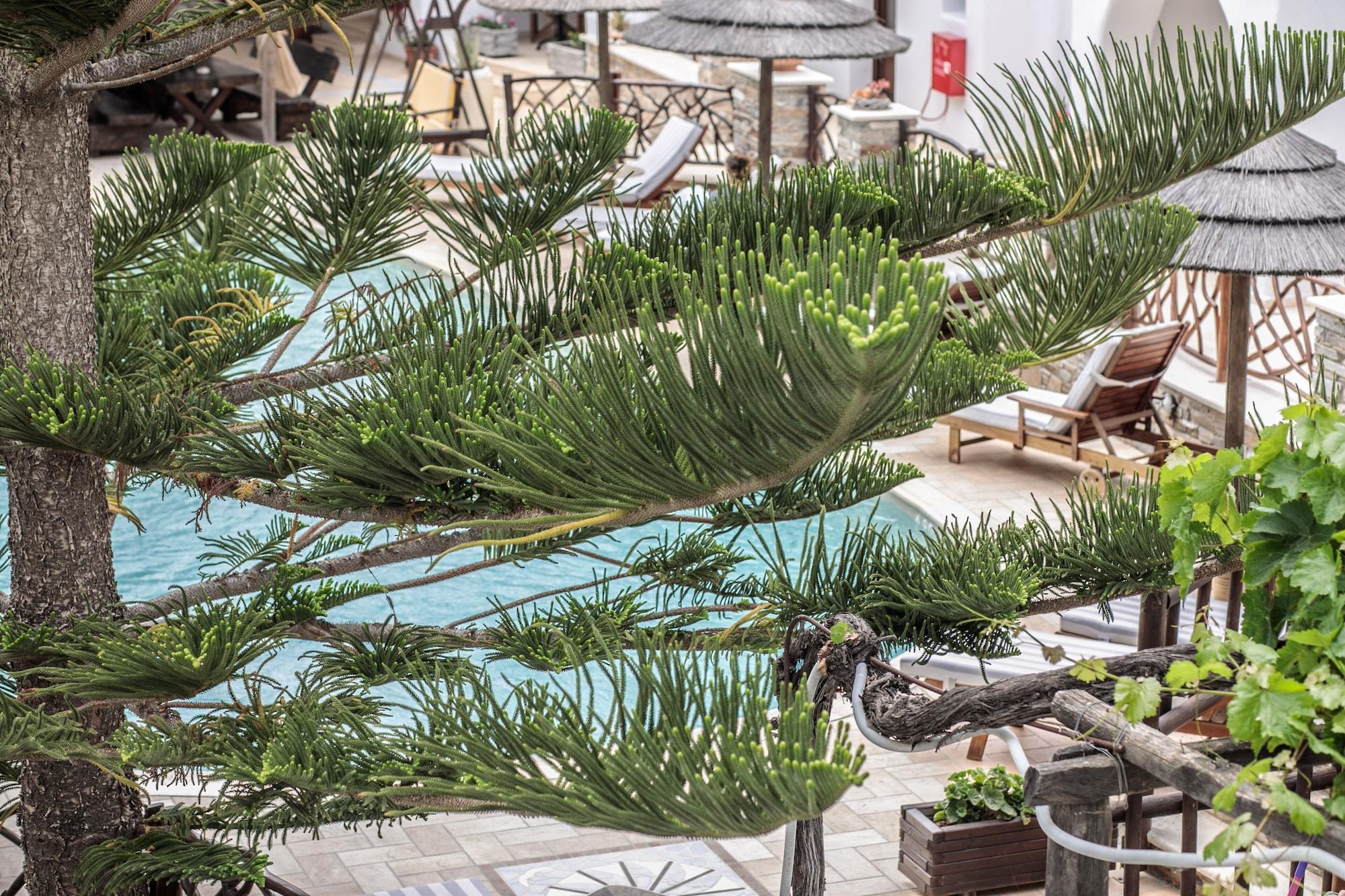 Anemomilos Beach Hotel Agia Anna  Екстериор снимка