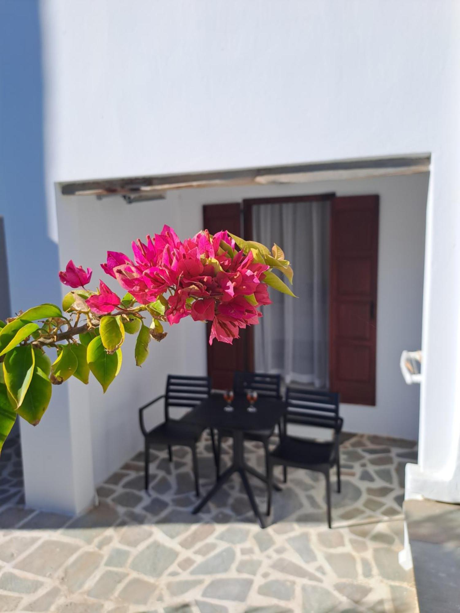 Anemomilos Beach Hotel Agia Anna  Екстериор снимка